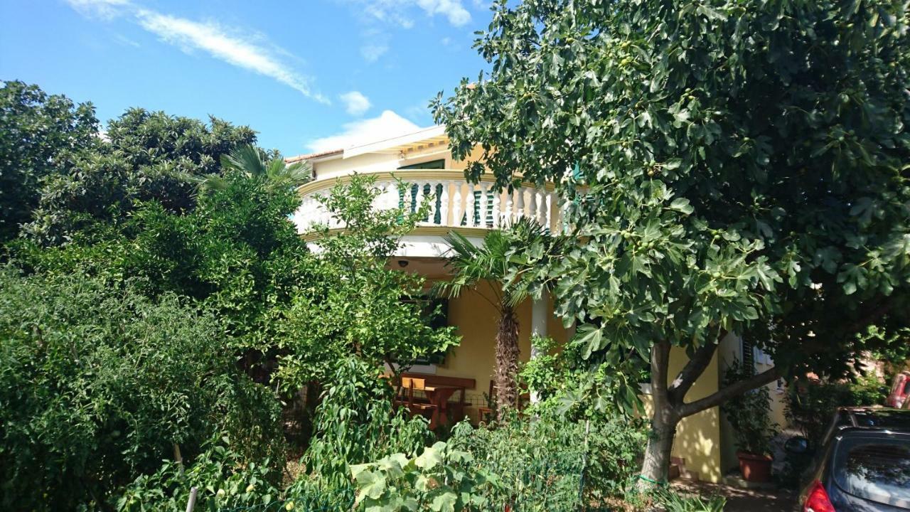 Apartmani Milka Pakoštane Exterior foto